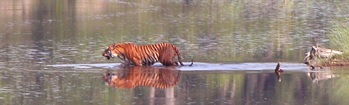 Bardia National Park - 2 Nights / 3 Days