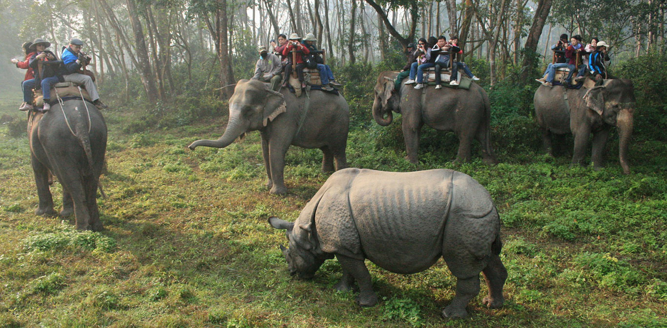Chitwan Natioanal Park