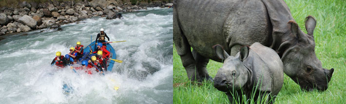 River Rafting & Chitwan